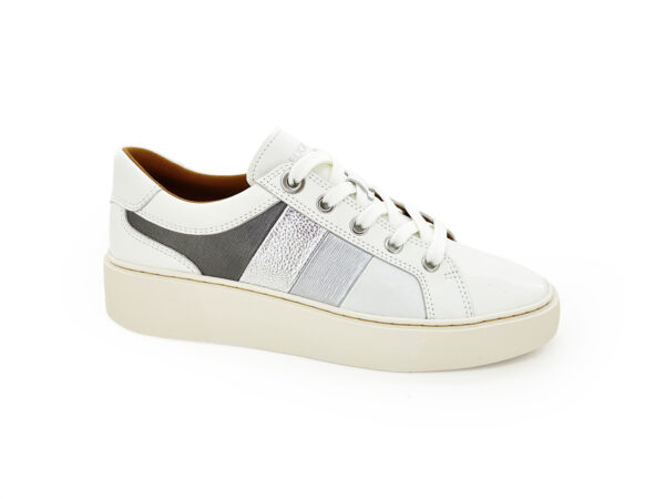 TERY – Image 4